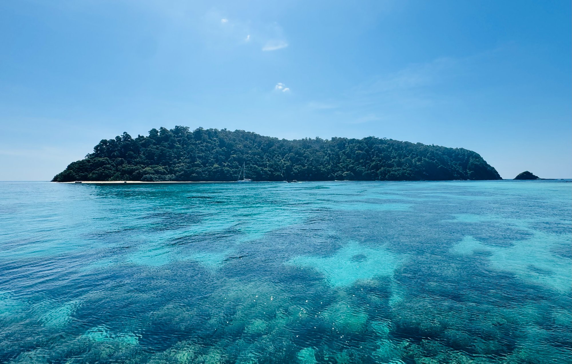 Agentic Economy: a Quiet Convergence of Adam Smith and Daniel Kahneman